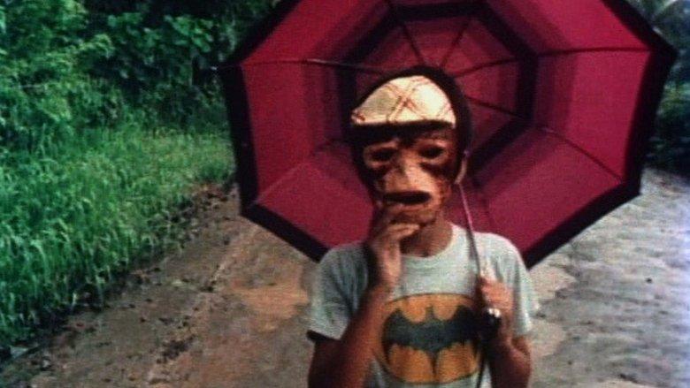 Turumba image