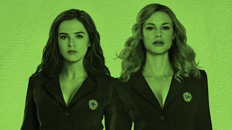 Vampire Academy image