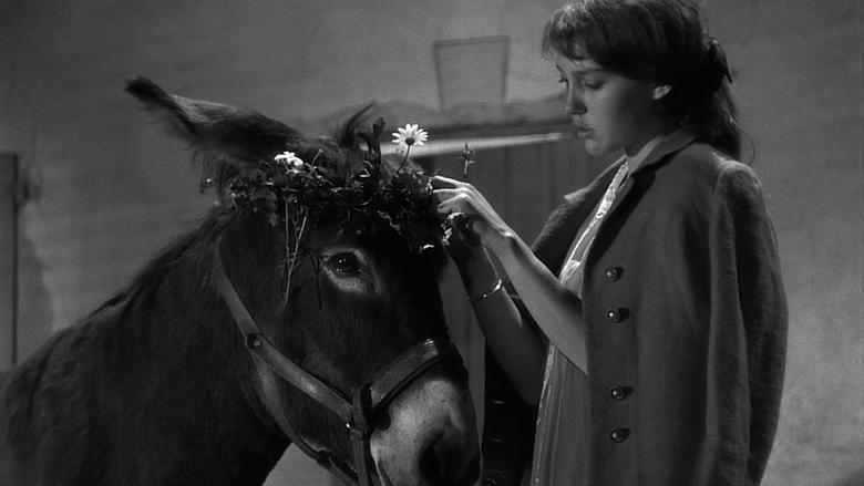 Au Hasard Balthazar image
