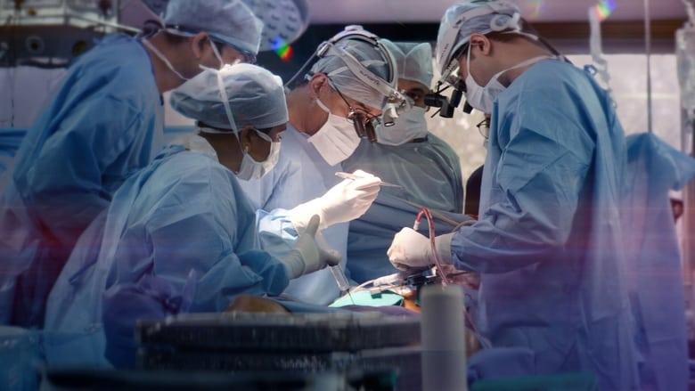 The Surgeon's Cut image