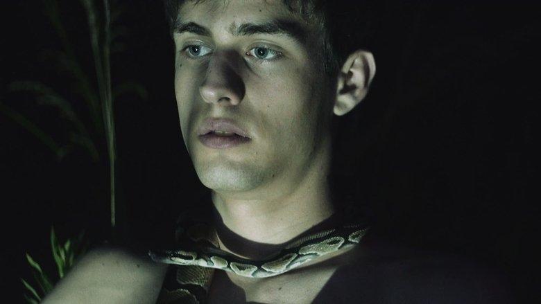 Viceroy image