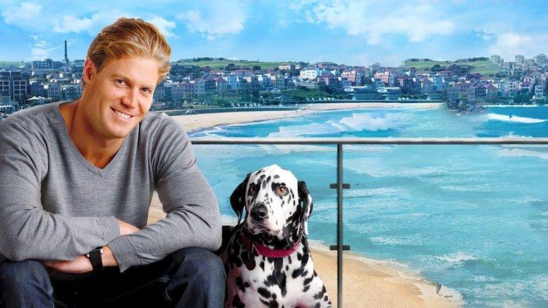Bondi Vet image