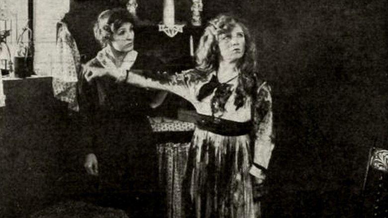 Emmy of Stork's Nest image
