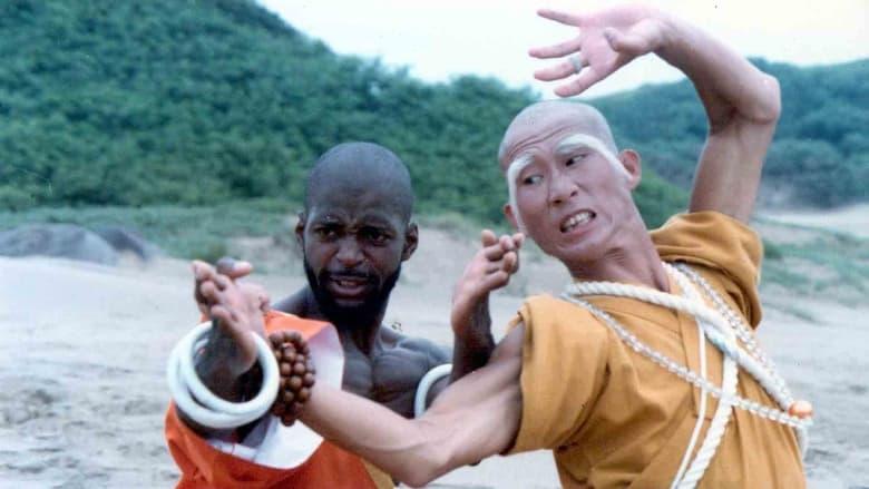 Shaolin Dolemite image