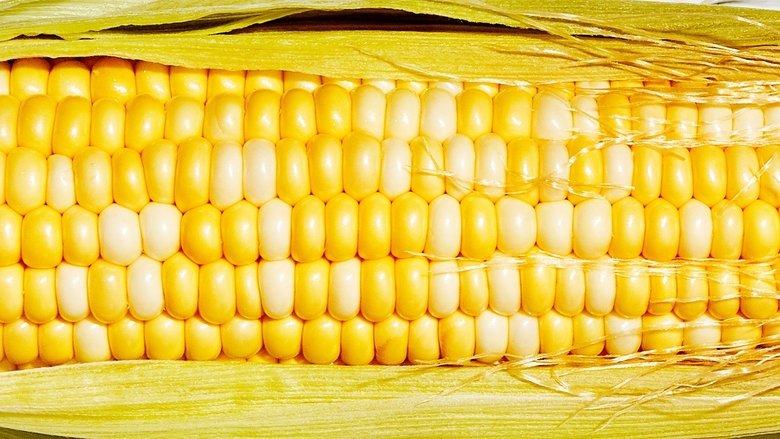Cornman: American Vegetable Hero image