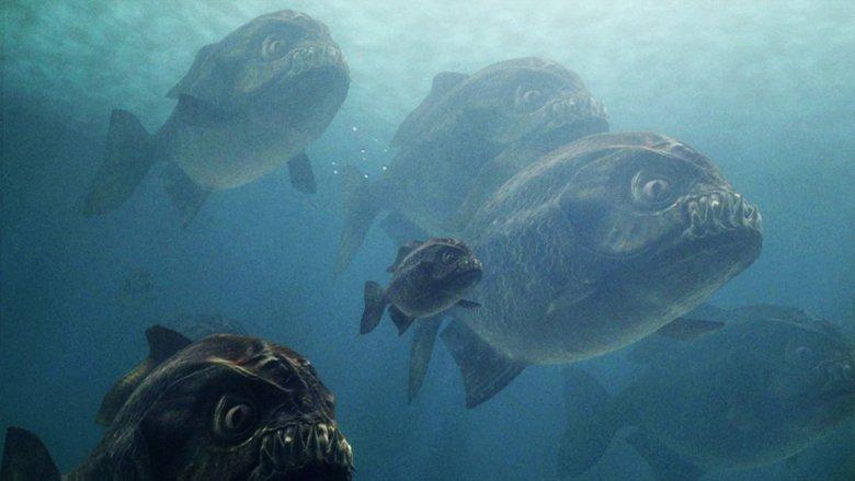 Mega Piranha image