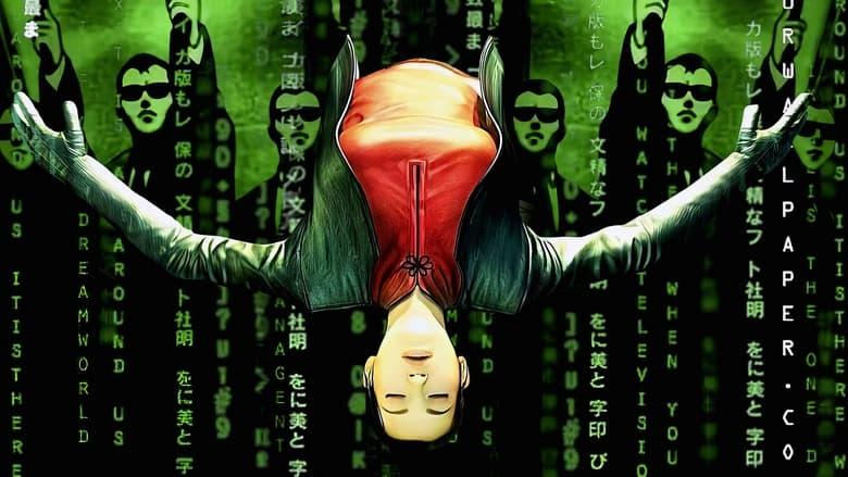 The Animatrix image