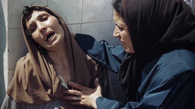 Algeria's Bloody Years image