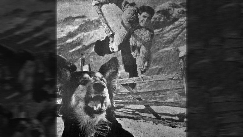 Kala image