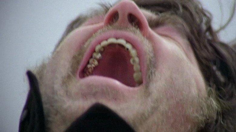 The Shout image