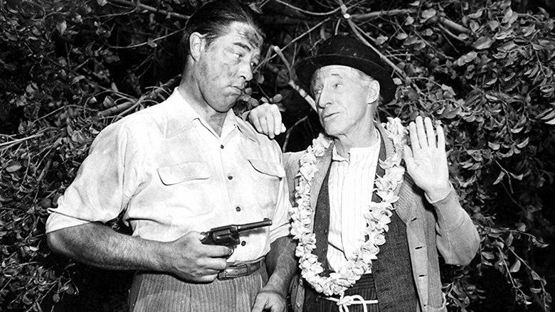Ma and Pa Kettle at Waikiki image