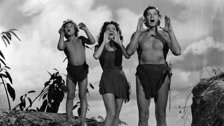 Tarzan's Secret Treasure image