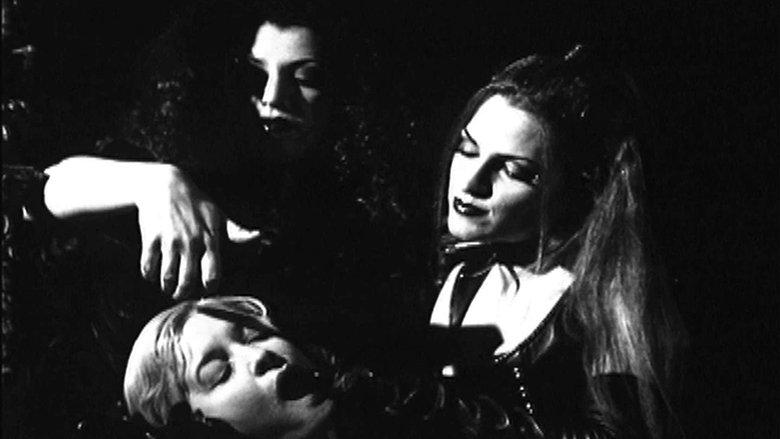 Ladies of the Night image