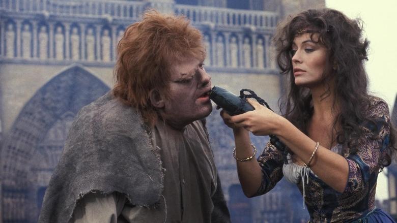 The Hunchback of Notre Dame image