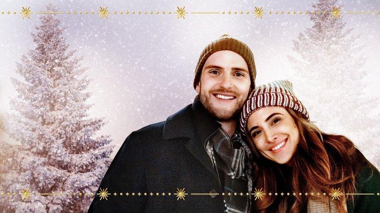 Homemade Christmas image