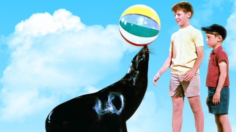 Sammy, the Way-Out Seal image