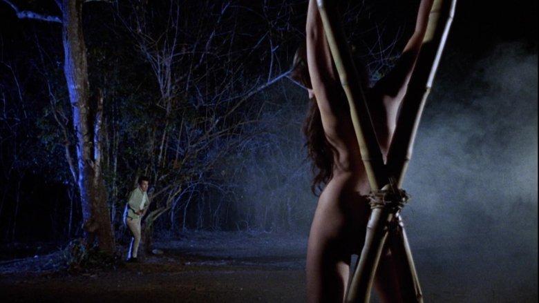 Brides of Blood image
