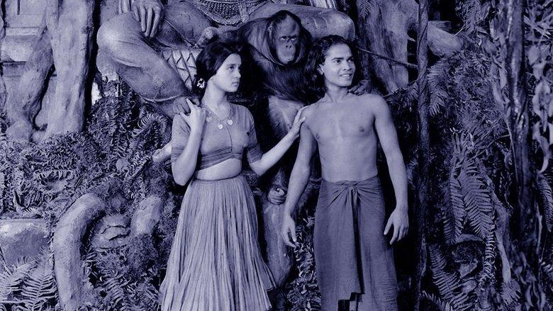 Jungle Book image