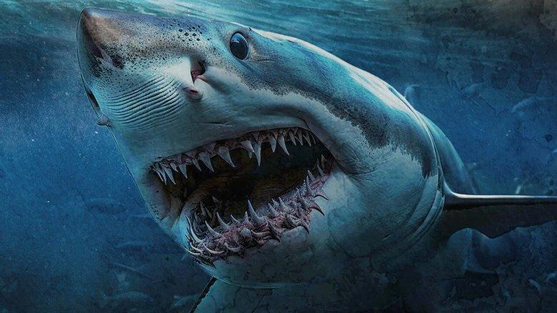 Shark Island image