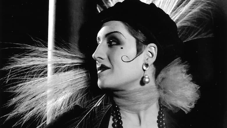 Lady of the Night image