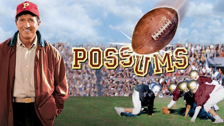 Possums image