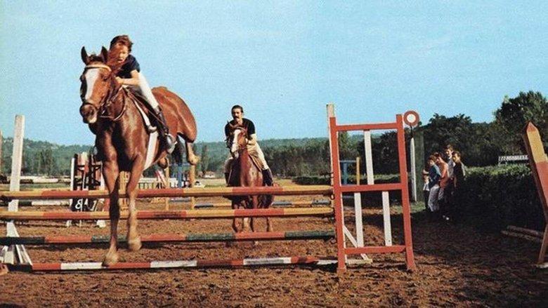 The Last Race image