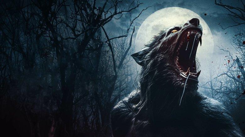 Wolf Hollow image