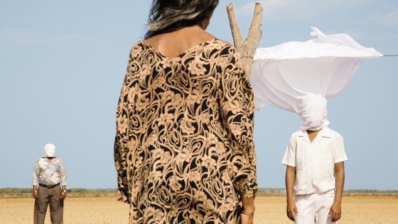 Birds of Passage image