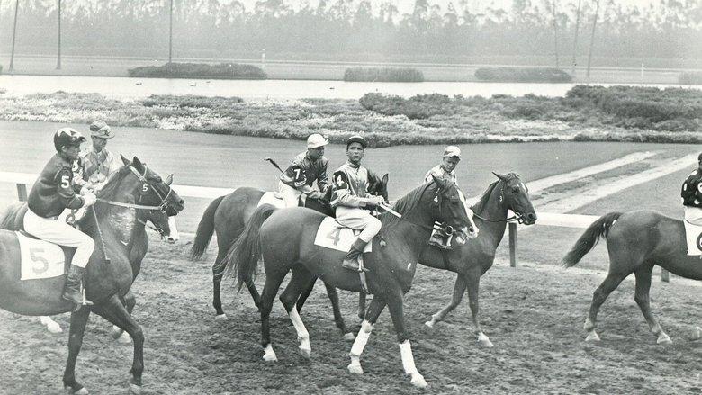 Pride of the Blue Grass image