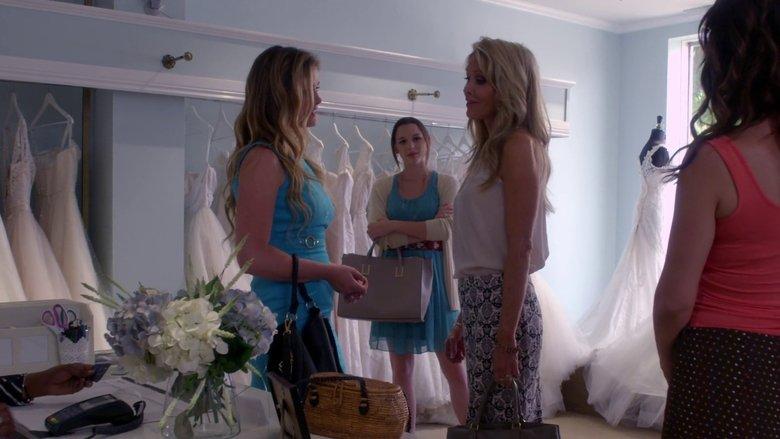 The Stepsister image