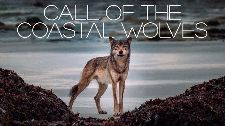 Call Of The Coastal Wolves image