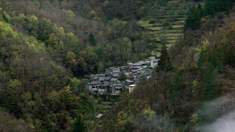 Bosco image