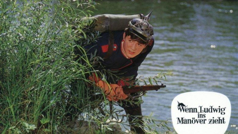 Wenn Ludwig ins Manöver zieht image
