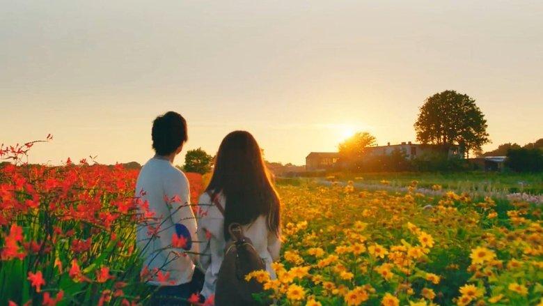 The Hows of Us image