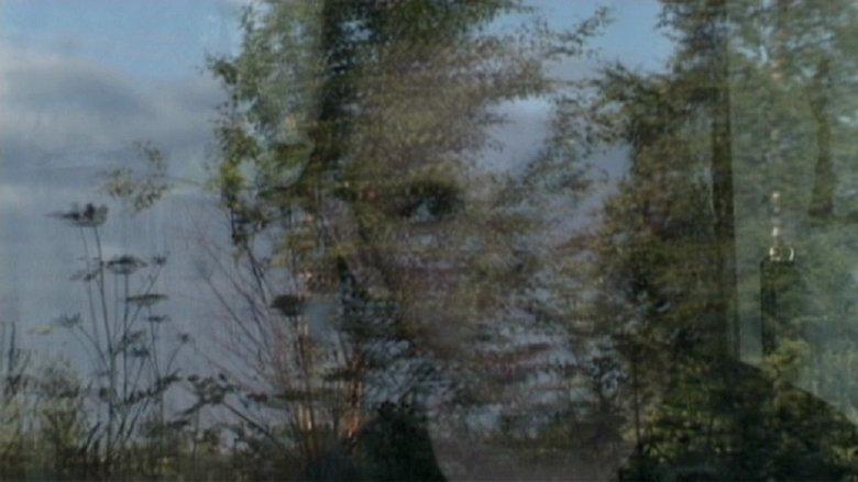Anton's Right Here image