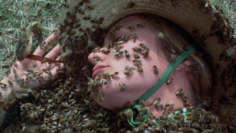 The Swarm image