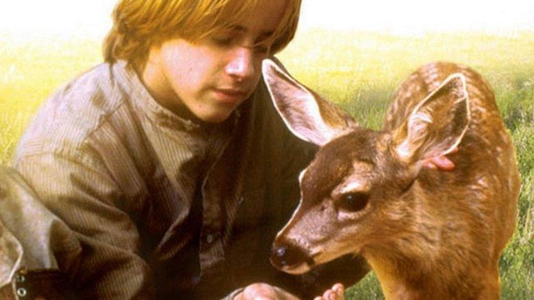 The Yearling image