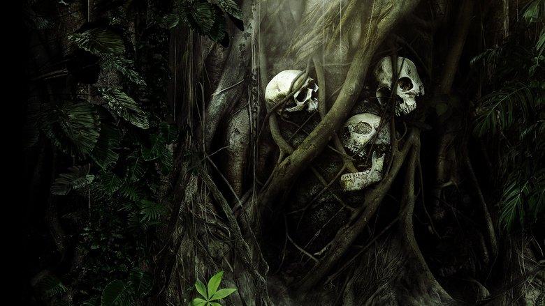 Secrets in the Jungle image