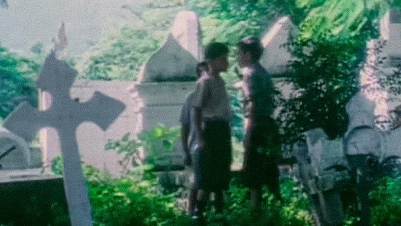 The Invisible Children image
