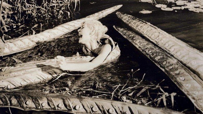 Voodoo Island image