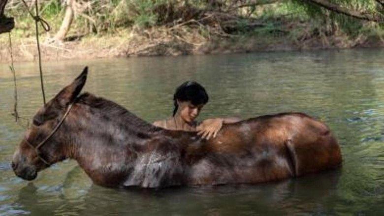 The Muleteer image