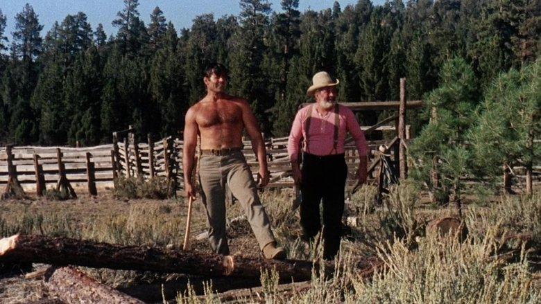 The Night of the Grizzly image