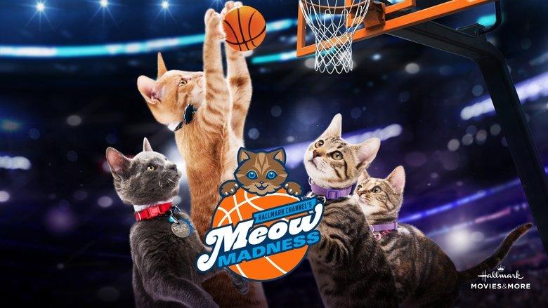 Meow Madness image