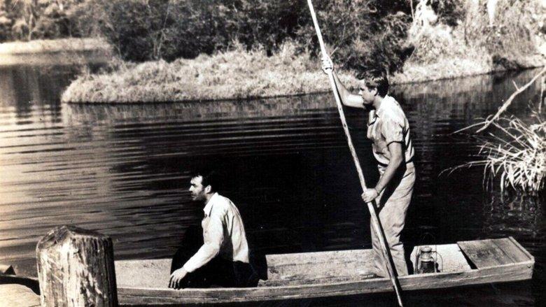 Lure of the Swamp image