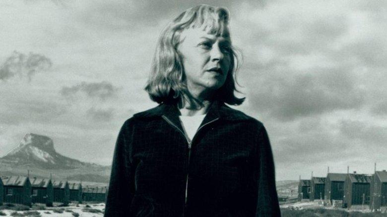 Days of Waiting: The Life & Art of Estelle Ishigo image