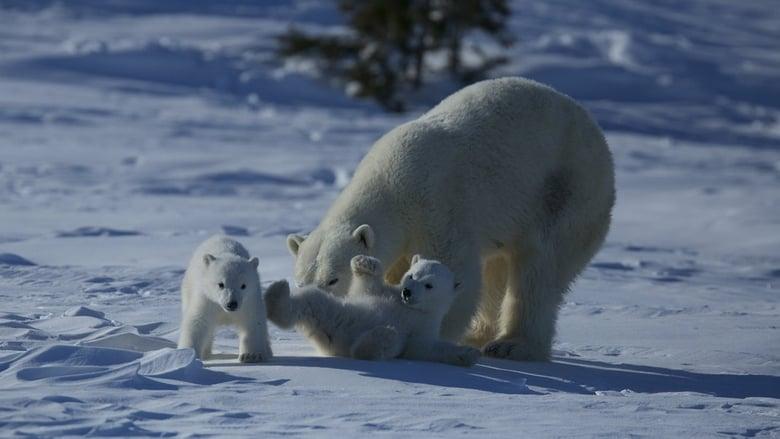 Wild Canada image