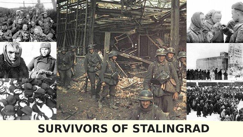 Survivors of Stalingrad image