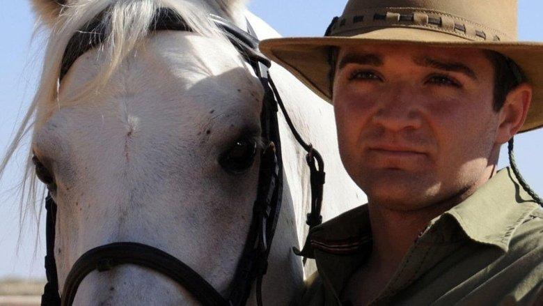 Tornado and the Kalahari Horse Whisperer image