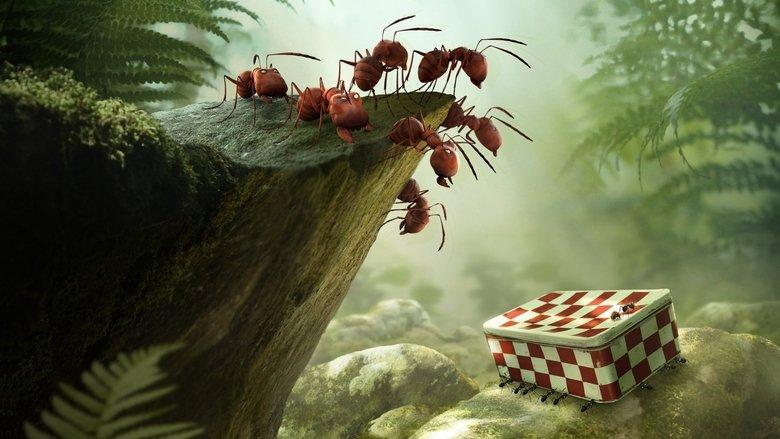 Minuscule: Valley of the Lost Ants image