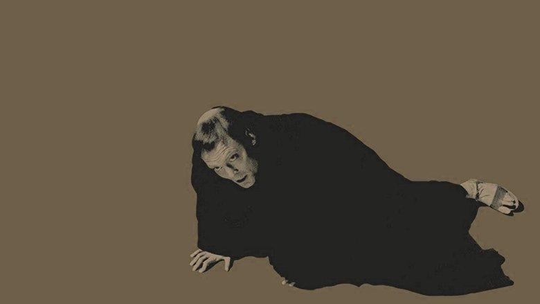 Luther image